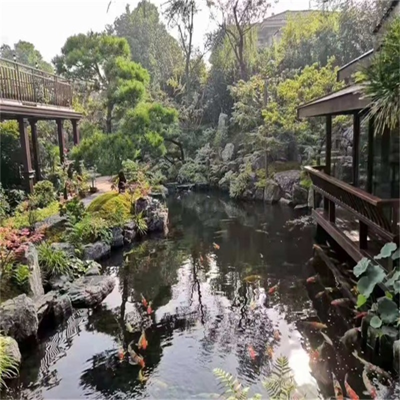 凤台假山植物小鱼池